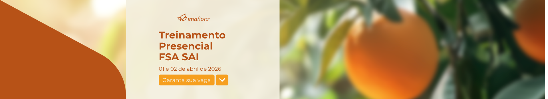 Banner Mobile