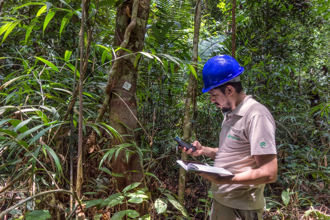 O FSC® é o principal sistema de certificação florestal do mundo, presente em mais de 122 países