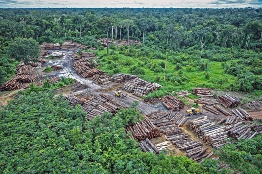 Exploração ilegal na Terra Indígena PIrititi na Amazônia com um pátio de toras em 8 de maio de 2018.( Felipe Werneck/Ibama via flickr via AP)&quot; licenciado por Guapan