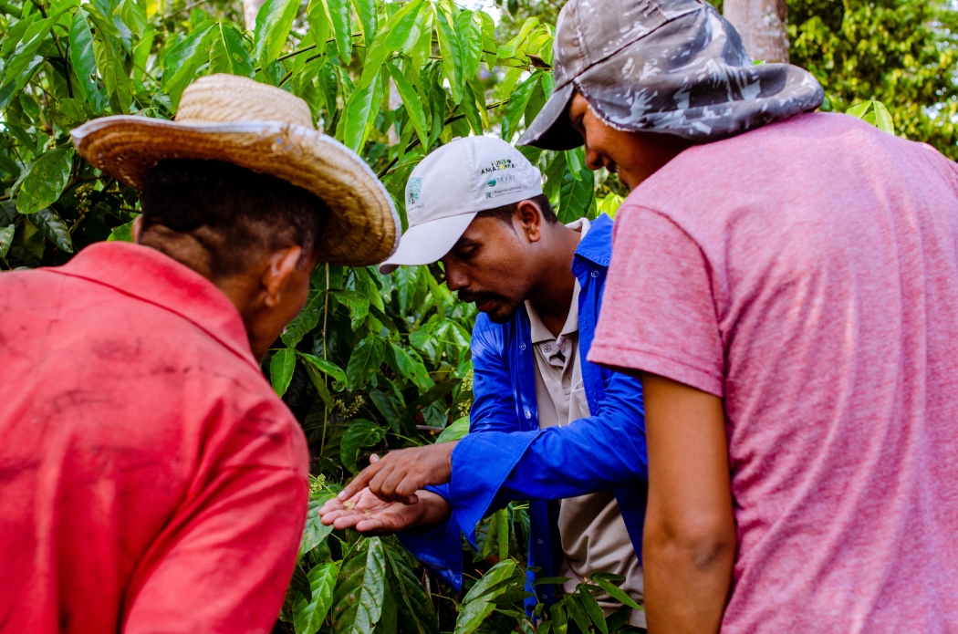 Raimundo Brasil, Assistente Técnico no Imaflora, orienta produtores em atividade de campo (Foto: Camila Batista)