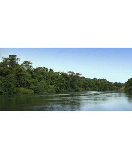 Versão 2.0 do padrão da iniciativa REDD+ SES em Consulta Pública até 09/04