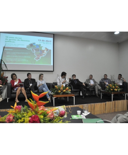 A Lei - dez anos depois