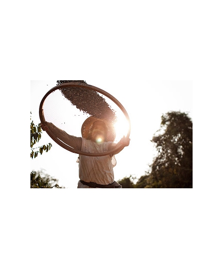 Equidade e Certificação