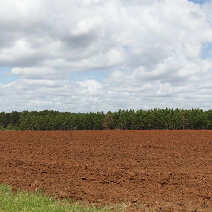 Estudo mostra o mapa da desigualdade da distribuição de terras no ...