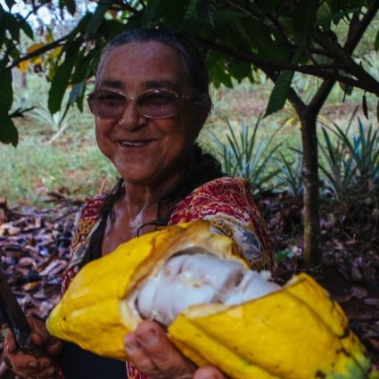 Projeto investe na agricultura familiar como alternativa ao desmatamento  em São Félix do Xingu, Pará