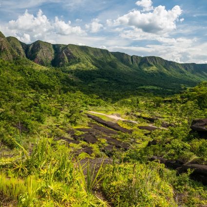 Governo Federal não dá devida atenção a recomendações de órgãos de controle sobre irregularidades em regularização fundiária e desmatamento na Amazônia