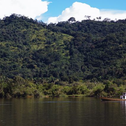 Imaflora abre vagas para curso de Governo Aberto em Clima, Florestas e Agricultura