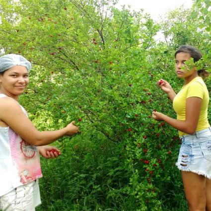 Mulheres assumem protagonismo em alternativas sustentáveis de desenvolvimento econômico na Floresta Amazônica