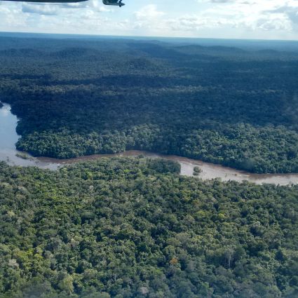 Imaflora apresenta pesquisa inédita sobre uso de dados abertos na prevenção, monitoramento e controle do desmatamento