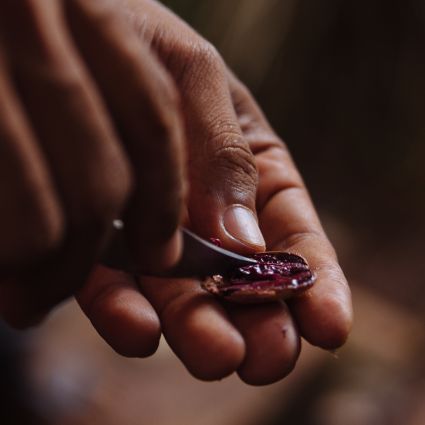 Imaflora lança publicação sobre o trabalho com agricultores e extrativistas em Áreas Protegidas no Norte do Pará