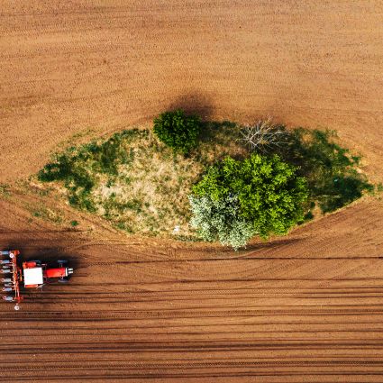 Retrocessos na política ambiental brasileira são precedidos de diminuição na transparência e participação social do setor