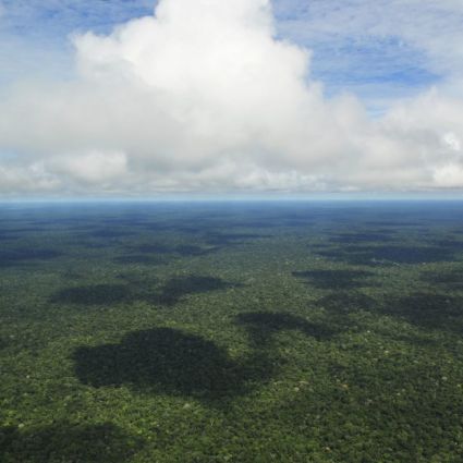 Aumentando a Conservação da Floresta Amazônica com Softwares GeoEspaciais