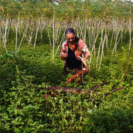 Imaflora inicia novos projetos de fortalecimento da agricultura familiar em São Félix do Xingu, no Pará