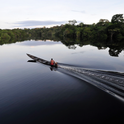 Serviços geoespaciais podem apoiar a gestão ambiental inteligente na Amazônia brasileira