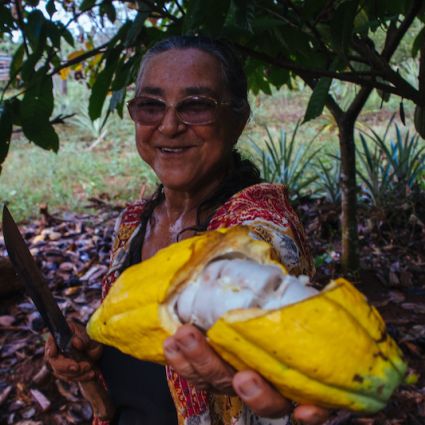 Relatório Anual 2020: levando competitividade e estratégia para a agricultura familiar 