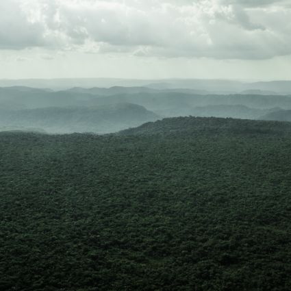 Apoio de empresas ao comércio ético e transparente com povos da floresta cresceu 69% em 2020, apesar da Pandemia