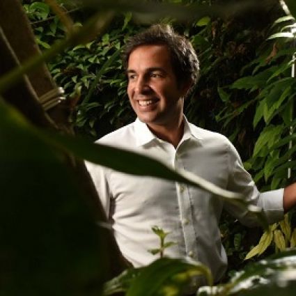 Mais empresas investem na &ldquo;floresta em pé&rdquo;