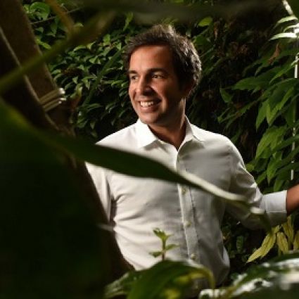 Mais empresas investem na “floresta em pé”