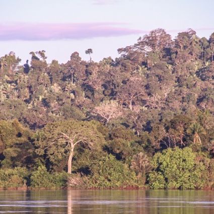 Força Tarefa Concessões Florestais 