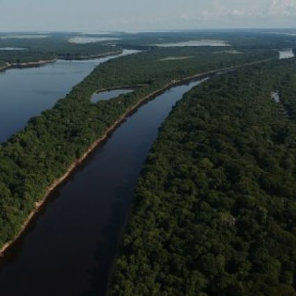 Parceiros começam coleta de dados de piloto do Terrabio, ferramenta inovadora de avaliação de impacto