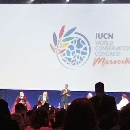 Carta do Comitê Brasileiro aos candidatos à presidência da IUCN