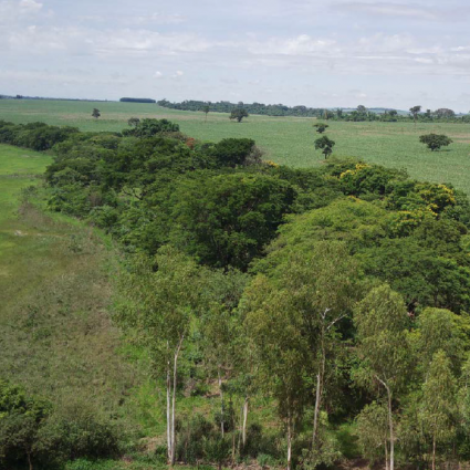 Produção agropecuária na Mata Atlântica pode se tornar neutra em carbono dentro de 20 anos a partir de restauração florestal, desmatamento zero e práticas de baixo carbono