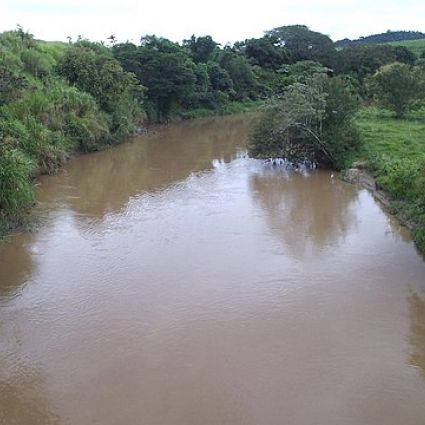 Ypê inicia projeto de restauração florestal na Bacia do Rio Camanducaia