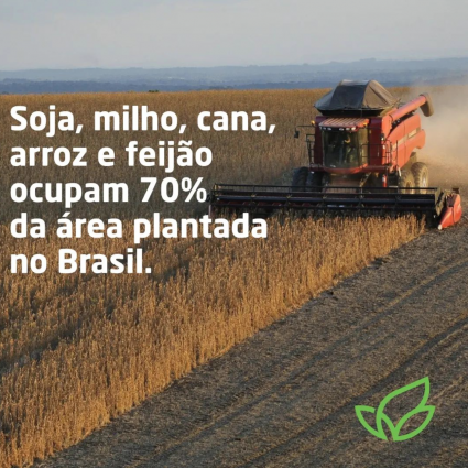 Pesquisa inédita investiga como e onde se produzem  os alimentos no Brasil