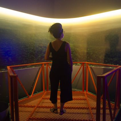 Origens Brasil® integra debate sobre o futuro da Amazônia em exposição no Museu do Amanhã - RJ