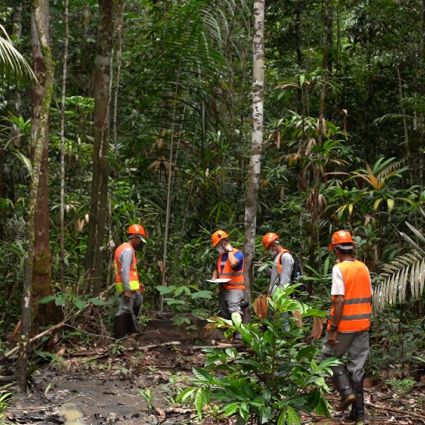 Reserva do Uatumã terá certificação FSC® em 2022