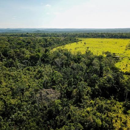 Estudo inédito do Imaflora mostra que 94% das terras indígenas da Amazônia sofreu pressões externas entre 2016 e 2020