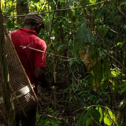 Projeto no Pará mira produção sustentável para combater o aquecimento global e conservar a floresta em pé