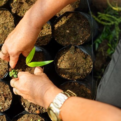 Será que as mulheres agricultoras e assalariadas rurais têm o quê celebrar neste 8 de março? 