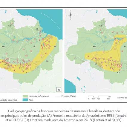 Extração ilegal de madeira na Amazônia tem análise restrita por insuficiência de dados públicos