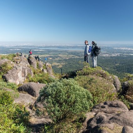 Um Dia No Parque acontece em 24 de julho