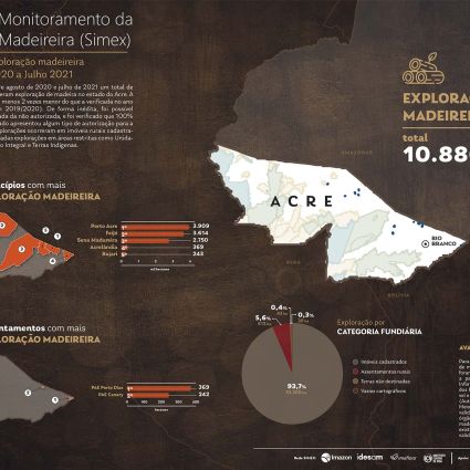 Exploração madeireira no Acre é 100% autorizada