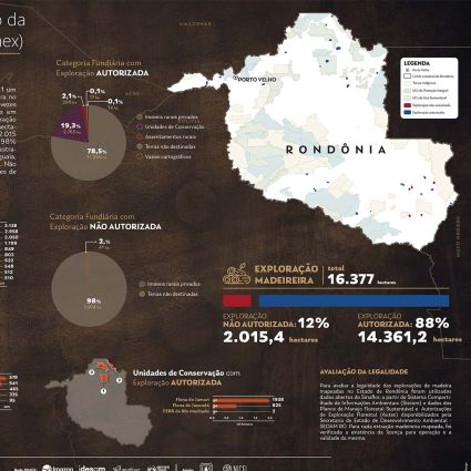 Exploração madeireira em Rondônia teve redução e área não autorizada está concentrada em apenas 5 municípios 