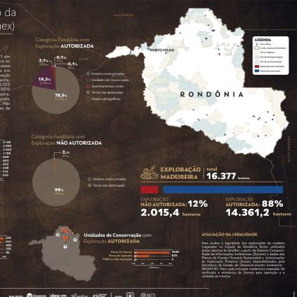 Exploração madeireira em Rondônia teve redução e área não autorizada está concentrada em apenas 5 municípios