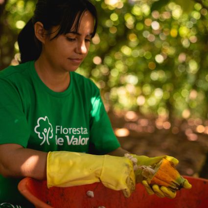 Série de publicações reúne expertise técnica e lições práticas sobre Sistemas Agroflorestais (SAFs) com cacau na região sudeste do Pará