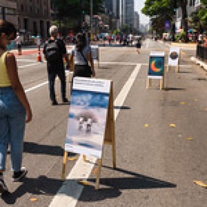 Virada Sustentável 2022: Festival promove consciência socioambiental com  programação gratuita e simultânea em três capitais