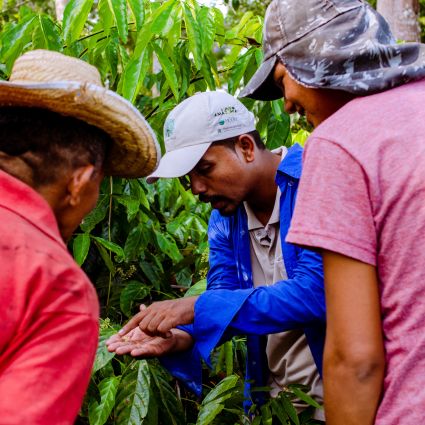 Programa Olhos da Floresta recebe parceiros e produtores  de guaraná em evento em Manaus