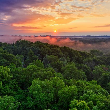 Imaflora promove workshops para troca de experiências entre Serviço Florestal Brasileiro e instâncias do governo do Amazonas para avanço da agenda de concessões florestais no Estado