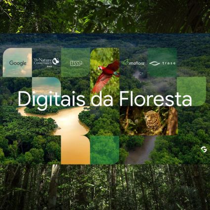 Imaflora se une ao Google para rastrear origem da madeira extraída na Amazônia 