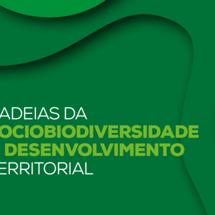 Articulação entre comunidades indígenas e tradicionais e empresas para o fomento da bioeconomia