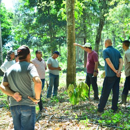 Imaflora promove ações de capacitação com cacauicultores da região de Linhares (ES)