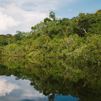 Imaflora é parte da Comissão Nacional para REDD+ (CONAREDD+)