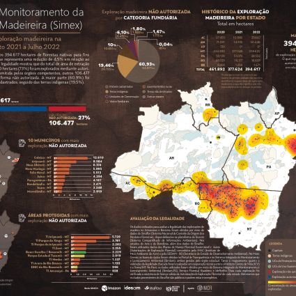 COP28: Quase 30% da exploração de madeira na Amazônia é ilegal