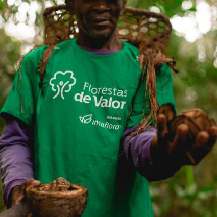 Inteligência de mercado na economia da floresta em pé: mosaico de oportunidades