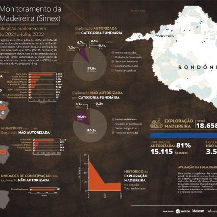 Exploração madeireira não autorizada em Rondônia em 2022 teve aumento significativo em relação a 2021