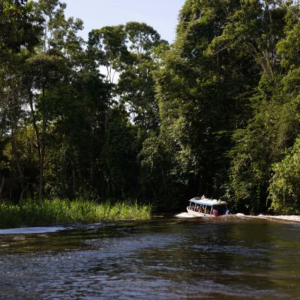 Desmatamento Zero na Amazônia até 2030 a partir de soluções articuladas e setores integrados